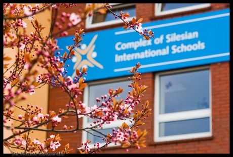Budynek szkolny w Complex of Silesian International Schools, Polska